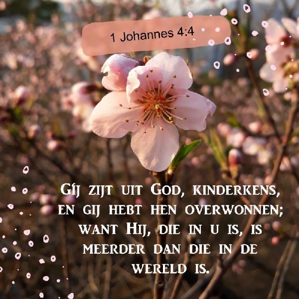 1 Johannes 4:4