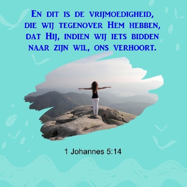 1 Johannes 5:14