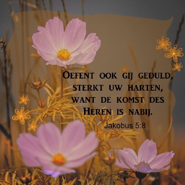 Jakobus 5:8