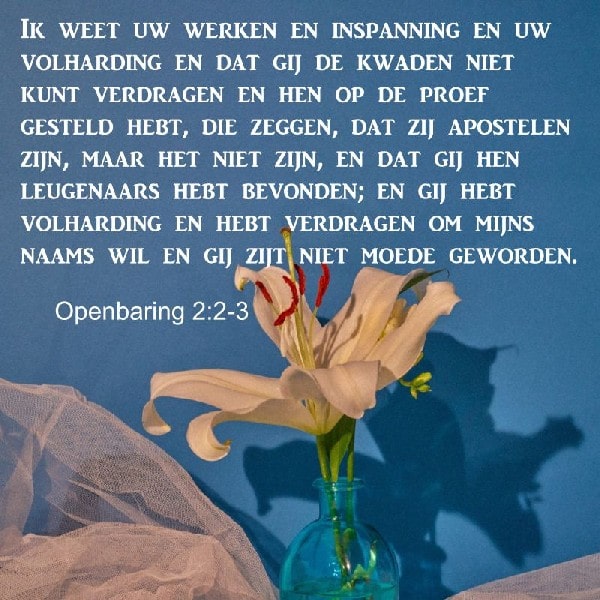 Openbaring 2:2-3