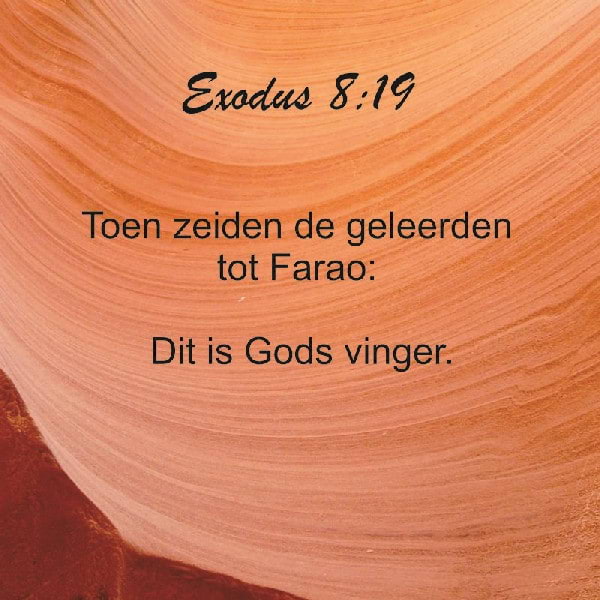 Exodus 8:16-19