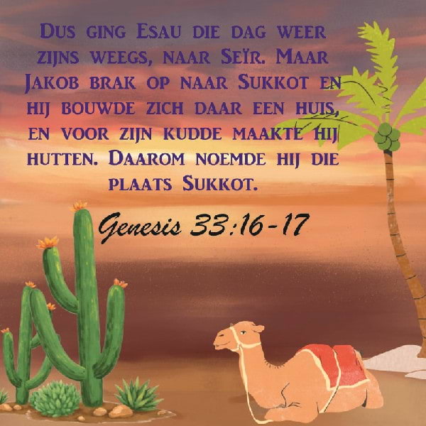 Genesis 33:16-17