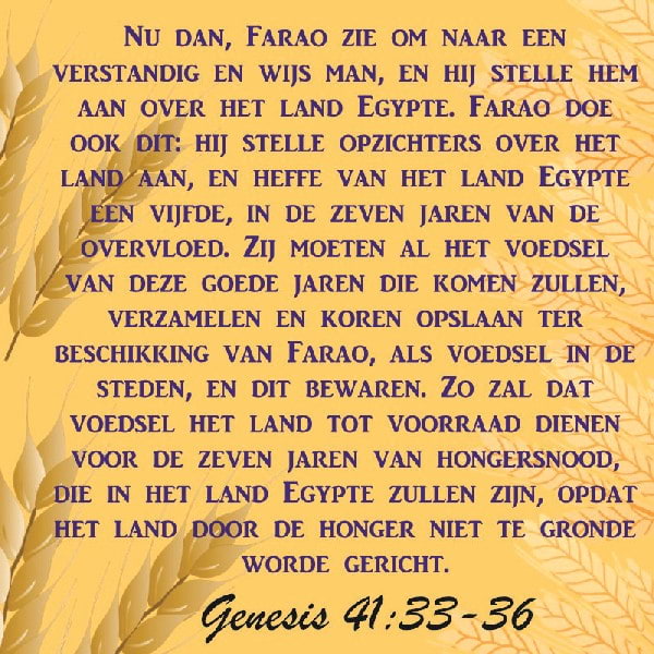 Genesis 41:33-36
