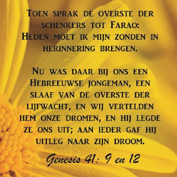 Genesis 41:9-12