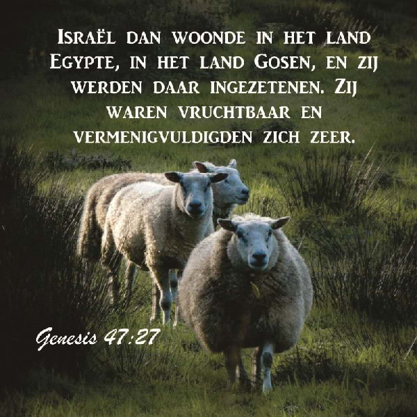 Genesis 47:27-30