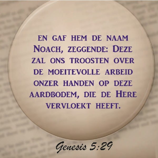 Genesis 5:29