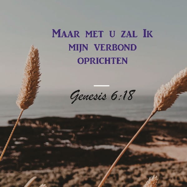 Genesis 6:17-18