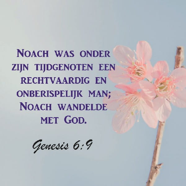 Genesis 6:9