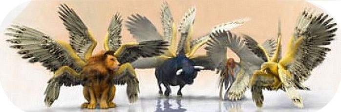 4 Dieren