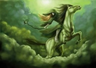 Paal Paard